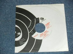 画像1: 1 JAN 1 (JAN BERRY) - A) TINSEL TOWN  B)BLOW UP MUSIC  (Ex++/Ex++)  / 1976 US AMERICA ORIGINAL "PROMO"" Used 7" SINGLE