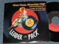 A)DARLENE LOVE  B)Annie Golden - A)River Deep, Mountain High   B)Leader Of The Pack (Ex++/MINT- EDSP) / 1985 US AMERICA ORIGINAL Used 7" Single With PICTURE SLEEVE