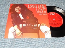 画像1: DARLENE LOVE - A) He's Sure The Man I Love   B) Everybody Needs  (MINT-/Ex+++) / 1988 UK ENGLAND ORIGINAL Used 7" Single With PICTURE SLEEVE