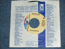 画像1: THE SHANNONS ( PRODUCED  by MEL TAYLOR of The VENTURES ) - BORN TOO LATE ( Ex+++/Ex+++ ) / 1968 US ORIGINAL Audition Label Promo 7"SINGLE