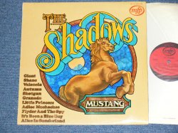 画像1: THE SHADOWS -  MUSTANG  / 19?? UK ORIGINAL Used  LP 