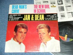 画像1: JAN & DEAN - THE NEW GIRL IN SCHOOL / DEAD MAN'S CURVE "COLOR Cover " ( MINT-/MINT- )  / 1964 US ORIGINAL MONO LP 