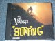 THE VENTURES -  SURFING / 1995 US ORIGINAL Used CD 