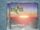 DIXIE ACES - SUNSET PICTURES / 2009 NETHERLANDS(HOLLAND)  Brand New CD
