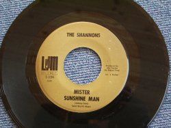 画像1: THE SHANNONS ( Prod.&Arr.by MEL TAYLOR of The VENTURES )  - BORN TOO LATE/ US ORIGINAL 7"SINGLE