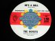 HONEYS  With BRIAN WILSON of THE BEACH BOYS - HE'S A DOLL / 1964 US ORIGINAL Promo 7" SINGLE 