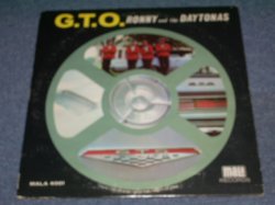 画像1: RONNY AND THE DAYTONAS - G.T.O. ( Ex-/Ex+ )  / 1964 US ORIGINAL  MONO LP 