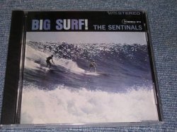 画像1: THE SENTINALS - BIG SURF  / 1994 US Brand New SEALED  CD 