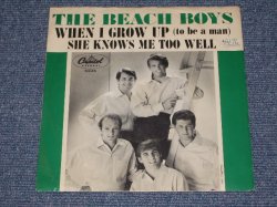 画像1: THE BEACH BOYS - WHEN I GROW UP( GREEN BORDER Cover )  /  1964 US  Original Ex+/Ex+  7"Single With Picture Sleeve  