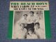 THE BEACH BOYS - WHEN I GROW UP( GREEN BORDER Cover )  /  1964 US  Original Ex+/Ex+  7"Single With Picture Sleeve  