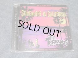 画像1: THE TORQUAYS - SOMEWHERE IN CALIFORNIA   / 2005 US Original  BRAND New  CD 