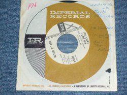 画像1: DON LEE WILSON -  TELL .LAULA I LOVE HER ( THIN LOGO STYLE / MINT/MINT ) / 1964 US ORIGINAL White  Label Promo 7"SINGLE