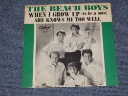 画像1: THE BEACH BOYS - WHEN I GROW UP( GREEN BORDER Cover )  /  1964 US  Original Ex/Ex+  7"Single With Picture Sleeve  