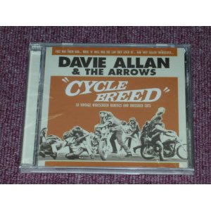 画像: DAVIE ALLAN & THE ARROWS - CYCLE BREED / 2006 2003 US AMERICA "BRAND NEW SEALED" CD