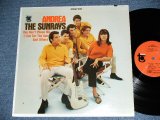 画像: The SUNRAYS - ANDREA  ( STEREO :  MINT-/MINT- ,BB Hole) / 1966 US ORIGINAL STEREO  LP