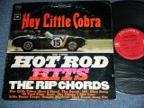 画像: THE RIP CHORDS - HEY LITTLE COBRA  ( Matrix # A)XSM 76282-1F  B)XSM 76283-1E) (VG+++/.Ex+ )   / 1964 US AMERICA ORIGINAL 2nd Press "360 Sound Label" STEREO Used LP 