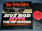 画像: THE RIP CHORDS - HEY LITTLE COBRA  (Matrix # 1AB/1H)(Ex+/Ex+++,Ex++)/1964 US AMERICA ORIGINAL 1st Press "2 EYE'S & Guaranteed Label" MONO Used LP 