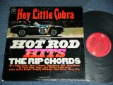 画像: THE RIP CHORDS - HEY LITTLE COBRA  (Matrix # 1A/1A )(Ex/MINT-) / 1964 US AMERICA ORIGINAL 1st Press "2 EYE'S & Guaranteed Label" MONO Used LP 