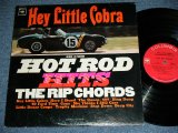 画像: THE RIP CHORDS - HEY LITTLE COBRA  (Matrix # 1D/1D)(Ex+/Ex+)/ 1964 US AMERICA ORIGINAL 1st Press "2 EYE'S & Guaranteed Label" MONO Used LP 