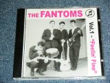 画像: THE FANTOMS - VOL.1  FEELIN' FINE ( Sound Like CLIFF & SHADOWS )  / 2005 GERMAN ORIGINAL Used  CD 