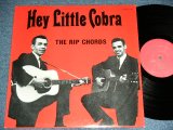 画像: THE RIP CHORDS - HEY LITTLE COBRA  ( 18 Tracks Best )   / 1980's EUROPE Used LP 
