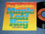 画像: SPOTNICKS, The - MAPLE LEAF RAG  (Ex++/Ex++ )  / 1974 WEST-GERMANY GERMAN  ORIGINAL Used 7" Single  with PICTURE SLEEVE 