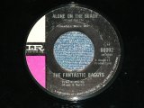 画像: THE FANTASTIC BAGGYS( P.F.SLOAN & STEVE BARRI ) - ALONE ON THE BEACH : IT WAS I  ( "THIN" Logo : Ex+++/Ex+++ ) / 1965 US AMERICA ORIGINAL Used 7" Single