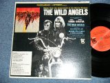 画像: ost Sound Track : V.A. OMNIBUS : DAVIE ALLAN & The ARROWS - THE WILD ANGELS ( Ex++/Ex+++)   /  1966 US AMERICA "DUOPHONIC STEREO"  Used  LP 