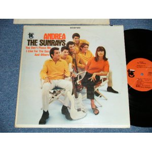 画像: The SUNRAYS - ANDREA  ( Ex+/Ex+++ Looks:Ex++) / 1966 US AMERICA ORIGINAL STEREO  Used  LP