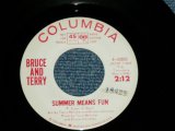画像: BRUCE and TERRY (BRUCE JOHNSTON & TERRY MELCHER Works)  -  SUMMER MEANS FUN : YEAH!  ( MINT-/MINT- )  / 1964 US AMERICA ORIGINAL "WHITE LABEL PROMO" Used 7" Single