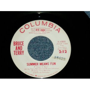 画像: BRUCE and TERRY (BRUCE JOHNSTON & TERRY MELCHER Works)  -  SUMMER MEANS FUN : YEAH!  ( MINT-/MINT- )  / 1964 US AMERICA ORIGINAL "WHITE LABEL PROMO" Used 7" Single