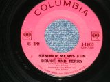 画像: BRUCE and TERRY (BRUCE JOHNSTON & TERRY MELCHER Works)  -  SUMMER MEANS FUN : YEAH!  ( MINT-/MINT- )  / 1964 US AMERICA ORIGINAL Used 7" Single