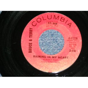 画像: BRUCE and TERRY (BRUCE JOHNSTON & TERRY MELCHER Works)  -  RAINYING IN MY HEART : FOUR STRONG WIND   ( Ex+++/Ex+++ )  / 1965 US AMERICA ORIGINAL Used 7" Single