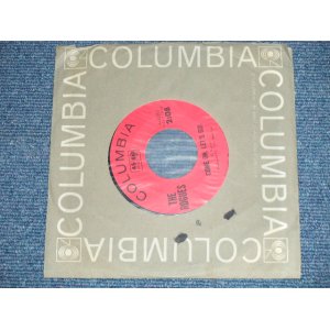 画像: The ROGUES  (BRUCE JOHNSTON & TERRY MELCHER Works)  -  COME ON LET'S GO : REGER'S REEF Pt.2 ( MINT-  Looks : Ex+++/MINT-  Looks: Ex+++)  / 1965 US AMERICA ORIGINAL Used 7" Single