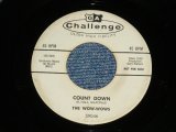 画像: The WOW-WOWS - COUNT DOWN : RICHMOND RALLY ( Ex/VG+++)  / 1960s US  ORIGINAL "White Label Promo" Used  7" Single