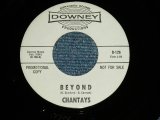 画像: CHANTAY'S - BEYOND : I'LL BE BACK SOMEDAY ( Ex+++/Ex+++ )  / 1964 US AMERICA ORIGIANL "WITE LABEL PROMO" Used 7" Single