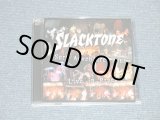 画像: SLACKTONE - SURF ADVENTURE TOUR : LIVE IN PRAGUE (MINT-/MINT) /  2002 US AMERICA   ORIGINAL Used CD 