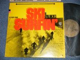 画像: THE AVALANCHES - SKI SURFIN'  (Ex+/Ex+++ EDSP, BB ) / 1963 US AMERICA ORIGINAL STEREO  Used  LP 