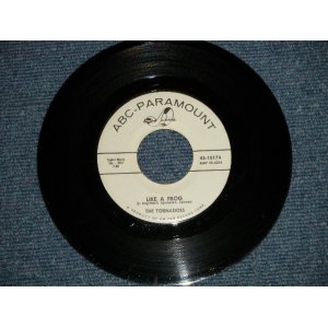 画像: THE TORNADOES -  LIKE A FLROG : CORA ( Ex++/Ex++ WOL, STOL)  / 1960 US AMERICA ORIGNAL "WHITE LABEL PROMO" Used 7" 45 Single