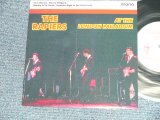画像: THE RAPIERS  - AT THE LONDON PALLADIUM (4 Tracks EP/ Vocal Tracks)  ( MINT-/MINT-) / 1995  UK ENGLAND ORIGINAL Used 7"45 prm EP 