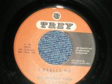 画像: THE SPECTOR THREE - A) I REALLY DO B) I KNOW WHY (VG+++/VG+++ ) /   1959 US AMERICA  ORIGINAL Used 7" Single