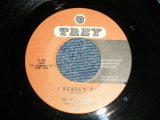 画像: THE SPECTOR THREE - A) I REALLY DO B) I KNOW WHY (Ex+++/Ex+++ WOL ) /   1959 US AMERICA  ORIGINAL Used 7" Single