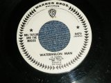 画像: MEL TAYLOR of The VENTURES - A)WATERMELON MAN  B)SKOKIAAN  ( Ex+/Ex+) / 1965  US AMERICA ORIGINAL White Label Promo 7"SINGLE