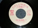 画像: BRUCE & TERRY(BRUCE JOHNSTON & TERRY MELCHER Works)  - A)I LOVE YOU, MODEL "T"  B)CARMEN (Ex++ Looks:Ex-/Ex++ Looks:Ex-) / 1965 US AMERICA ORIGINAL "WHITE LABEL PROMO" Used 7" Single