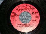 画像: BRUCE & TERRY(BRUCE JOHNSTON & TERRY MELCHER Works)  - A)SUMMER MEANS FUN  B)YEAH! (Ex++/Ex++ WOL) / 1965 US AMERICA ORIGINAL Used 7" Single