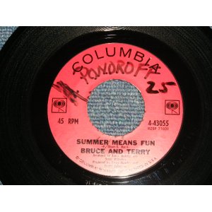 画像: BRUCE & TERRY(BRUCE JOHNSTON & TERRY MELCHER Works)  - A)SUMMER MEANS FUN  B)YEAH! (Ex++/Ex++ WOL) / 1965 US AMERICA ORIGINAL Used 7" Single