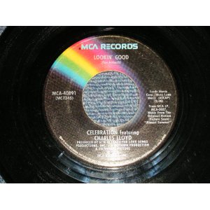 画像: CELEBRATION  - A)Feat.MIKE LOVE : ALMOST SUMMER  B)Feat CHARLES LLOYD:LOOKIN' GOOD (Ex++/Ex+)  / 1983 US AMERICA ORIGINAL Used 7"SINGLE 