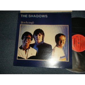 画像: THE SHADOWS - LIFE IN THE JUNGLE (Ex++/MINT) / 1982 UK ENGLAND REISSUE Used  LP 
