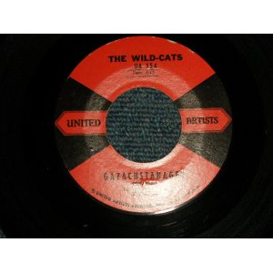 画像: THE WILD CATS - A)Gazachstahagen  B)Billy's Cha Cha (ORGAN + GUITAR INST.)  (Ex++/Ex++ / 1958 US AMERICA ORIGINAL Used 7" 45 rpm Single 