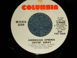 画像: AMERICAN SPRING (Ex:HONEYS)  - SHYIN' AWAY  A)MONO   B)STEREO  (BRIAN WILSON Works) (MINT-/MINT-)  / 1973 US AMERICA ORIGINAL "PROMO ONLY Same Flip MONO/STEREO" Used 7" Single 